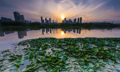 龙湖智创糊口以“你终身”