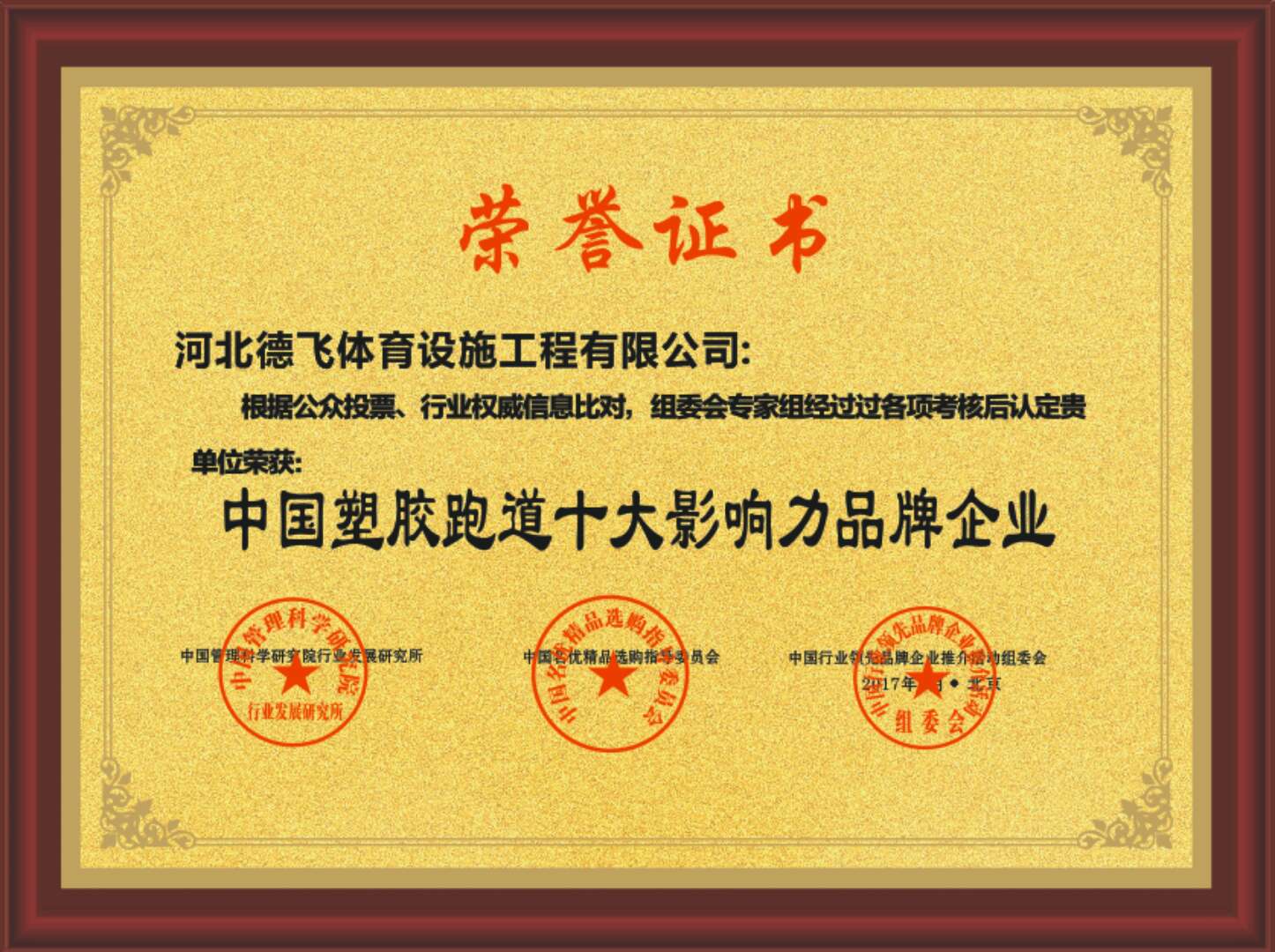 甘肃庆阳市自结纹塑胶跑道施工建设有限公司欢迎光临(图1)